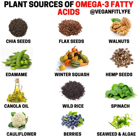 omega 6 vegan sources|omega 6 plant based benefits.